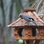 Casa de Férias Waldidyll By Interhome