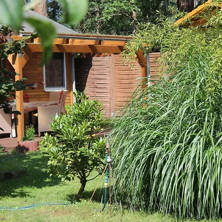 Waldidyll By Interhome * Zerpenschleuse