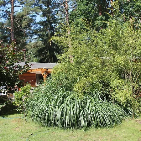 Hébergement de vacances Waldidyll By Interhome Zerpenschleuse