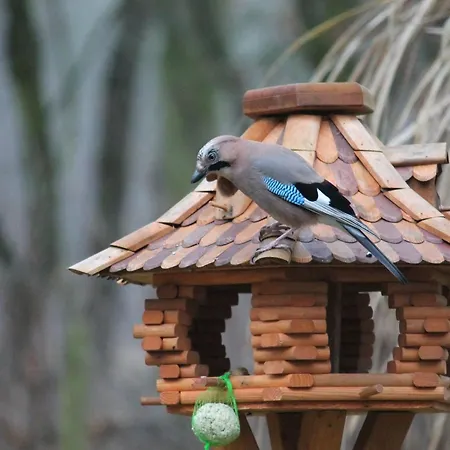 Holiday home Waldidyll By Interhome