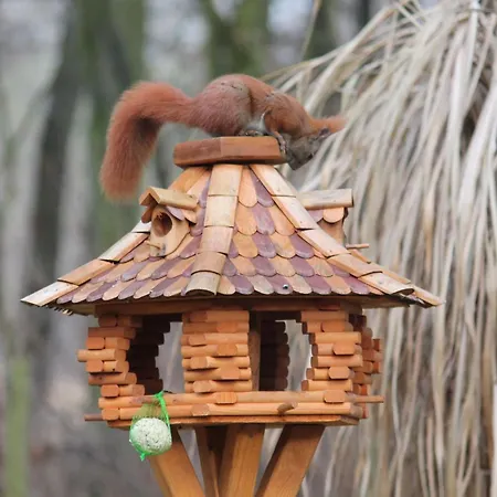 Holiday home Waldidyll By Interhome Zerpenschleuse