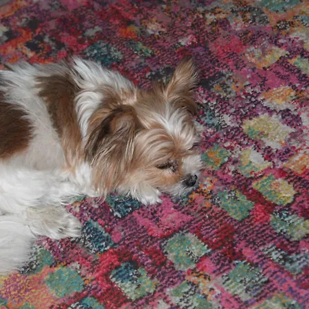 Holiday home Waldidyll By Interhome *