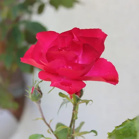 Waldidyll By Interhome *