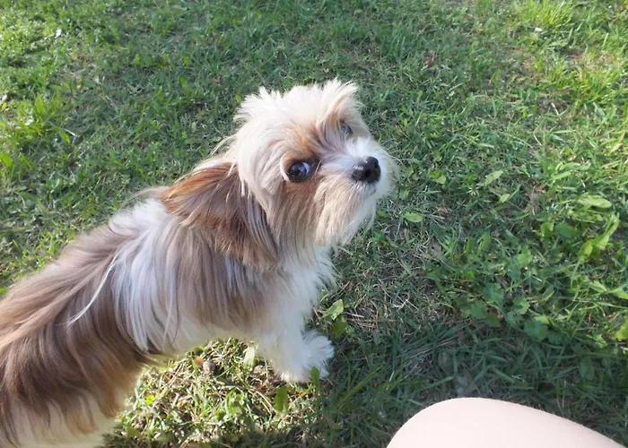 بيت للعطل Waldidyll By Interhome Zerpenschleuse