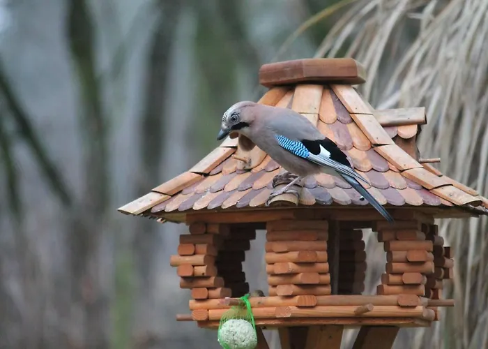 Holiday home Waldidyll By Interhome