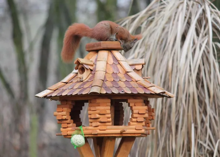 Holiday home Waldidyll By Interhome Zerpenschleuse