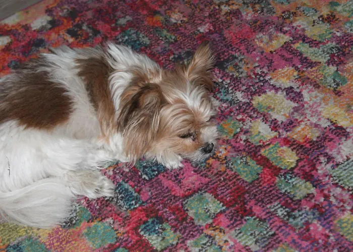 Holiday home Waldidyll By Interhome *