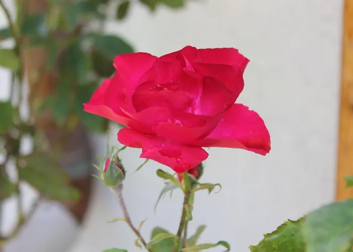 Waldidyll By Interhome *